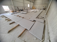 Carreaux de dalle de granit blanc chinois de prix compétitif G603 carreaux de piscine gris granit pour plancher