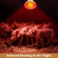 닭장 육계 및 파충류 열원을위한 Ama-zon 핫 세일 125 와트 적외선 적색 LED 전구 히트 램프