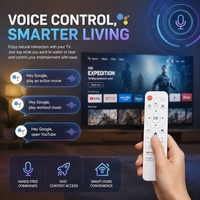 Boîtier TV Android RK3518 14 2 Go 16 Go WiFi 6 4K Lecteur Multimédia Intelligent avec Télécommande Vocale pour Vente en Gros Mondiale