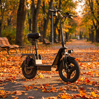 Vélo électrique pliable fiable pour la ville, 20 pouces, pneus larges 4.0, moteur 750W, batterie 48V 15Ah avec écran LCD intelligent