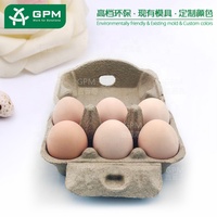 Cartons à œufs en papier pour poulets, plateau de luxe, moule d'emballage utilisé, 6 moules, cartons à œufs biodégradables