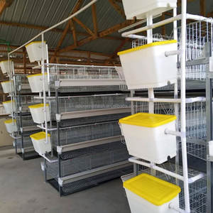 <span class=keywords><strong>Cages</strong></span> pour poules pondeuses automatiques de type H Offres Spéciales Cage de batterie pour poulets à 4 niveaux 1000 pour ferme avicole utilisée avec composant moteur - Product Image 4