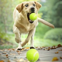Vente en gros de balles de tennis pour chiens de luxe personnalisées avec logo, haute élasticité, écologiques, imperméables, jouets interactifs pour chiens, jouets à mâcher pour chiens