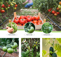 Clip de support de plantes réutilisable Clips de plantes en plastique de jardin Clips ronds transparents de 25mm pour tomate
