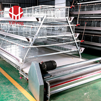 Cage à poules pondeuses personnalisée de type A, 3, 4 ou 5 niveaux, en fil galvanisé Q235, système d'élevage avicole pour fermes commerciales de production d'œufs