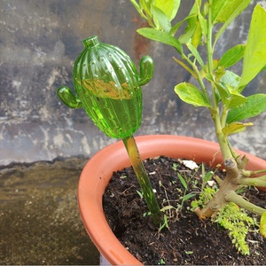 Nuevo Producto al por Mayor: Regadera de Goteo para Cactus, Riego por Penetración, Herramienta Automática de Jardinería para Plantas Verdes del Hogar - Product Image 4