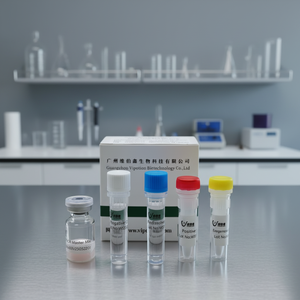 Kit de Detección de <span class=keywords><strong>Dirofilaria</strong></span> Immitis en Perros por PCR en Tiempo Real, Liofilizado, Seguro, Confiable, Fácil de Usar, para Uso Veterinario Canino - Product Image 2