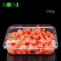 Recipiente descartável para embalagem de frutas, recipiente para embalagem de alimentos para salada, frutas e alimentos, caixa de plástico