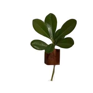 Imán <span class=keywords><strong>de</strong></span> Refrigerador 3D <span class=keywords><strong>de</strong></span> Madera Maciza, Creativo y Simple, Florero <span class=keywords><strong>de</strong></span> Madera para Arreglos Florales, Adhesivo Magnético para el Hogar - Product Image 5