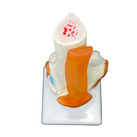 Modelo de hueso anatómico de la articulación de la rodilla humana de tamaño real 1:1, modelos de enseñanza de Anatomía de simulación para Ciencias médicas