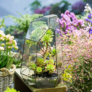 16" Extra Large Geometric Glass <strong>Terrarium</strong> Glass Reptile Box <strong>Plastic</strong> <strong>Terrarium</strong> Decor Reptiles Amphibia - Product Image 3