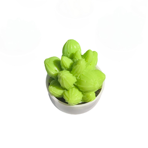 Juguete de Cactus en Miniatura de Resina Colorida, Juguete Antiestrés de Plástico para Aliviar el Estrés, Unisex - Product Image 5