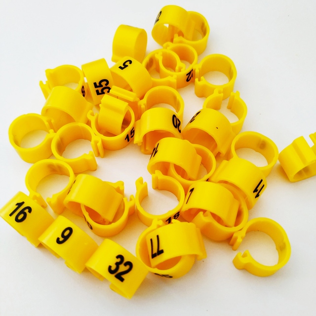 QA Colorful Plastic Bird Pigeon Parrot Foot Ring Leg Ring with Numbers Poultry Equipment Spare Parts