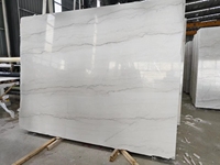 Carrelage de sol en marbre blanc de Guangxi, pierre naturelle de 18 mm, nouveau modèle Goldtop OEM/ODM, pour revêtement mural et marches d'escalier intérieurs