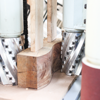 JUNRAN JR-2T Zweiachsige Doppelseitige Horizontale Industrielle Holzbearbeitungs-Fräsmaschine 2 Spindeln Hochleistungs-Behcann-Fernsteuerung