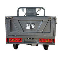 Heavy Duty Elektrische Cargo Driewieler 3 Wiel Vracht Trike 1000W 60V voor Fruit Groente Markt Verkoper Kruideniersvervoer
