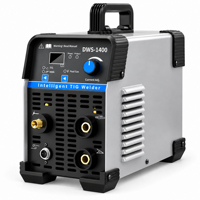 Soudeuse TIG MMA 2-en-1 OEM 220V DWS-1400 140A DC IGBT Inverter avec affichage numérique, portable, pour soudage à l'arc, alimentation directe usine