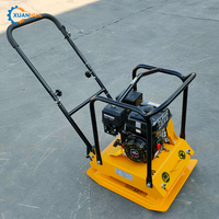 Compacteur de sol manuel / Compacteur à plaque vibrante pour sable et routes, et plaques Whacker à vendre
