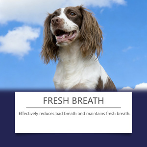 สเปรย์ดูแลช่องปากสัตว์เลี้ยงออร์แกนิค 100 มล. ไม่ต้องล้างออก ลมหายใจสดชื่น ทำความสะอาดฟัน อ่อนโยนต่อสัตว์เลี้ยง ใช้ได้กับสัตว์เลี้ยงหลายชนิด ขายส่งจากโรงงานโดยตรง - Product Image 4