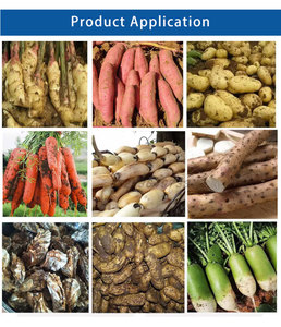 Hệ thống làm sạch và gọt vỏ gừng, củ cải, khoai lang và khoai lang hiệu quả - Product Image 6