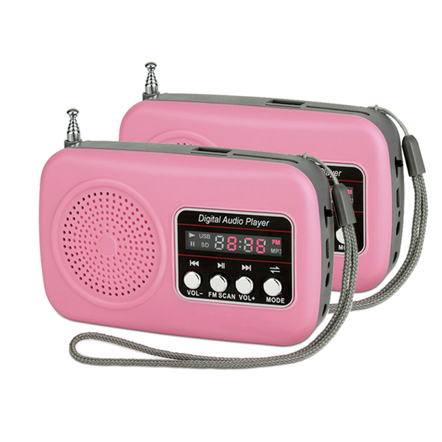 Dewant L-839 Small Hand USB FM Radio With USB Port and TF/SD Card Slot to Play Music