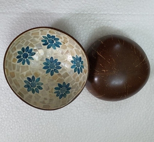 Bol en coquille de noix de coco avec logo personnalisé, naturel, fait à la main, écologique, biodégradable, jetable, 5 pouces, pour servir des aliments, des smoothies, des salades - Product Image 1