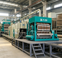 Machine automatique de fabrication de barquettes à œufs en PVC avec technologie de formage précise pour la production de conditionnements durables pour la volaille
