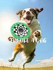 Gele EVA Interactieve Hondenspeelgoed Eco-vriendelijke Trainings- en Waterpretset Drijvende Kauwspeelgoed met Ballen 4 Seizoenen Veilig Duurzaam - Product Image 2