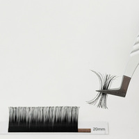 Extensions de cils Premium 2D en forme de YY, monocouche, petites fleurs, doux, naturels, noir mat, faits à la main, pour volume, fournitures
