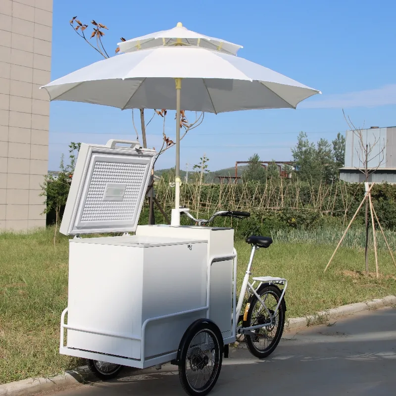 Vélo commercial de congélateur de chariot de crème glacée à vendre le tricycle électrique de passager de vélo de nourriture de cargaison de Popsicle