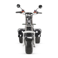 Scooter City Coco Europa Stock 4000w 5000w à vendre