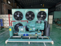 20HP 25HP 30HP compresseur à piston semi-fermé d'origine à deux étages R404a unité de réfrigération industrielle