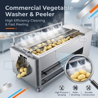 Wortelgroente-fruit borstelwas- en schilmachine, rollerreiniger, aardappel-, gember- en cassavewasmachine