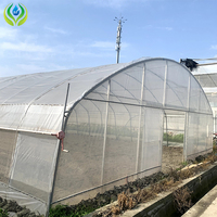 Serre agricole MYXL à simple travée avec toit en PE et aérations papillon, fabriquée en Chine