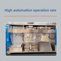 Machine d'emballage entièrement automatique pour sachets de granulés (grains de café, jujubes rouges, graines de lotus, œufs de poisson, champignons séchés) - Alimentation par vis