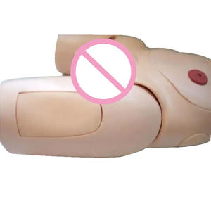 चिकित्सा सिमुलेशन यूरिनरी कैथीटर प्रशिक्षण मॉडल पुरुष मूत्रमार्ग - Product Image 2