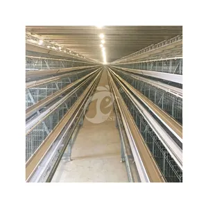 China A Type Laying Coop High-Quality Hen Iron Layer Cage Suppliers Land and Space Saving Chicken Show Layer Cages