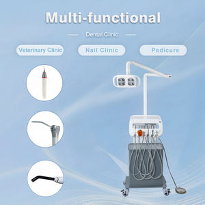 Escalador pieza de mano portátil integrado compresor de aire carro dental unidad carro salón de belleza lámpara de luz LED veterinaria - Product Image 5