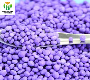 <span class=keywords><strong>Engrais</strong></span> composé granulaire NPK <span class=keywords><strong>20</strong></span>-<span class=keywords><strong>10</strong></span>-<span class=keywords><strong>10</strong></span> à libération lente, azote, phosphore, potassium, extrudé, pour usage agricole - Product Image 5