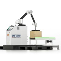 Robot Humanoide Comercial para Paletización de Cajas de Cartón con PLC y Motor