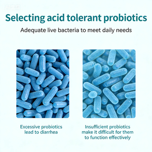 Suplemento de Probióticos em Pó Personalizado OEM ODM com Marca Privada para Saúde Intestinal e Digestiva - Product Image 2