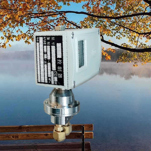 Interruptor Diferencial de Control de Acero Inoxidable a Prueba de Explosiones y Resistente a la Corrosión Modelo HYWCF Instrumento Yichang HYW-CF - Product Image 6