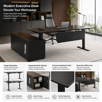 Estación de Trabajo de Oficina Ajustable en Negro Mate con Mueble Lateral, Escritorio Ejecutivo Eléctrico, Fabricante OEM ODM