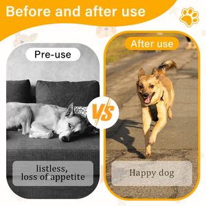 נוסחה מותאמת אישית כלב multitamamin גלוקוזאמין תוספי מזון עבור גיל ספציפי לחיות מחמד תזונה Nasc - Product Image 3