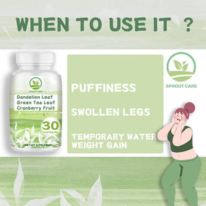 OEM 제조 녹차 펩타이드 식욕 억제제와 슈퍼 슬림 제어 체중 관리 캡슐 강력한 슬리밍 알약 - Product Image 3