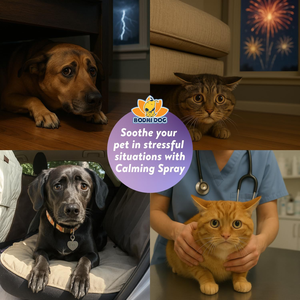 Aides d'entraînement pour chiens Petop en plastique : Spray <span class=keywords><strong>anti</strong></span>-mictions pour dresser votre animal à ne pas faire <span class=keywords><strong>pipi</strong></span> à l'intérieur ou à l'<span class=keywords><strong>extérieur</strong></span>, dissuasion <span class=keywords><strong>anti</strong></span>-marquage, écologique - Product Image 5