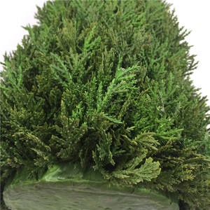 Produit très vendu, grandes feuilles d'arbres artificiels en cèdre pour la décoration de jardin extérieur - Product Image 5
