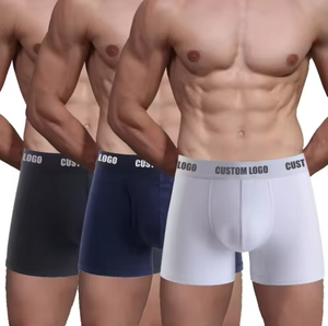 Boxers pour hommes <span class=keywords><strong>grande</strong></span> <span class=keywords><strong>taille</strong></span> au design luxueux, sous-vêtements sexy pour hommes de créateur - Product Image 3