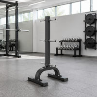 Support vertical professionnel pour plaques de poids, idéal pour la musculation et l'équipement de fitness en salle de sport