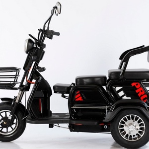 Scooter Eléctrico de 3 Ruedas de 500W, Triciclo Motorizado para Adultos con Luz de Giro, Certificado EEC, Voltaje de 48V - Product Image 1